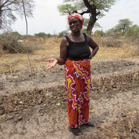 Patricia Musweu stands on her dry farm land